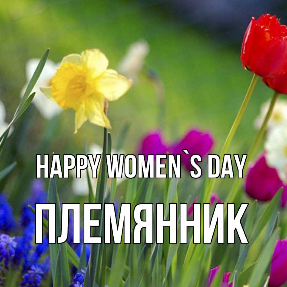 Greetings card с именем, Племянник happy women`s day международный женский день 3 Greetings with text for free download 